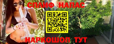 СК Краснознаменск