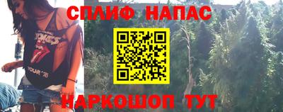 крисы Краснодар