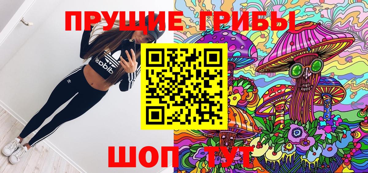 Псилоцибиновые грибы Psilocybine cubensis  Вход с VPN  Псилоцибиновые грибы мицелий  Якутск 